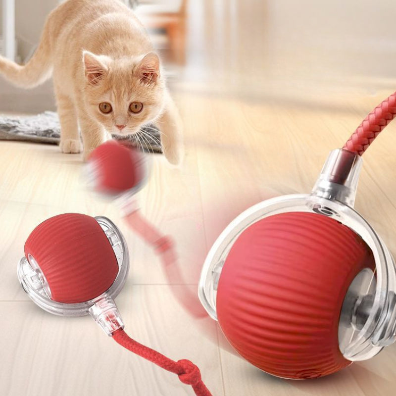 Cat Interactive Toy
