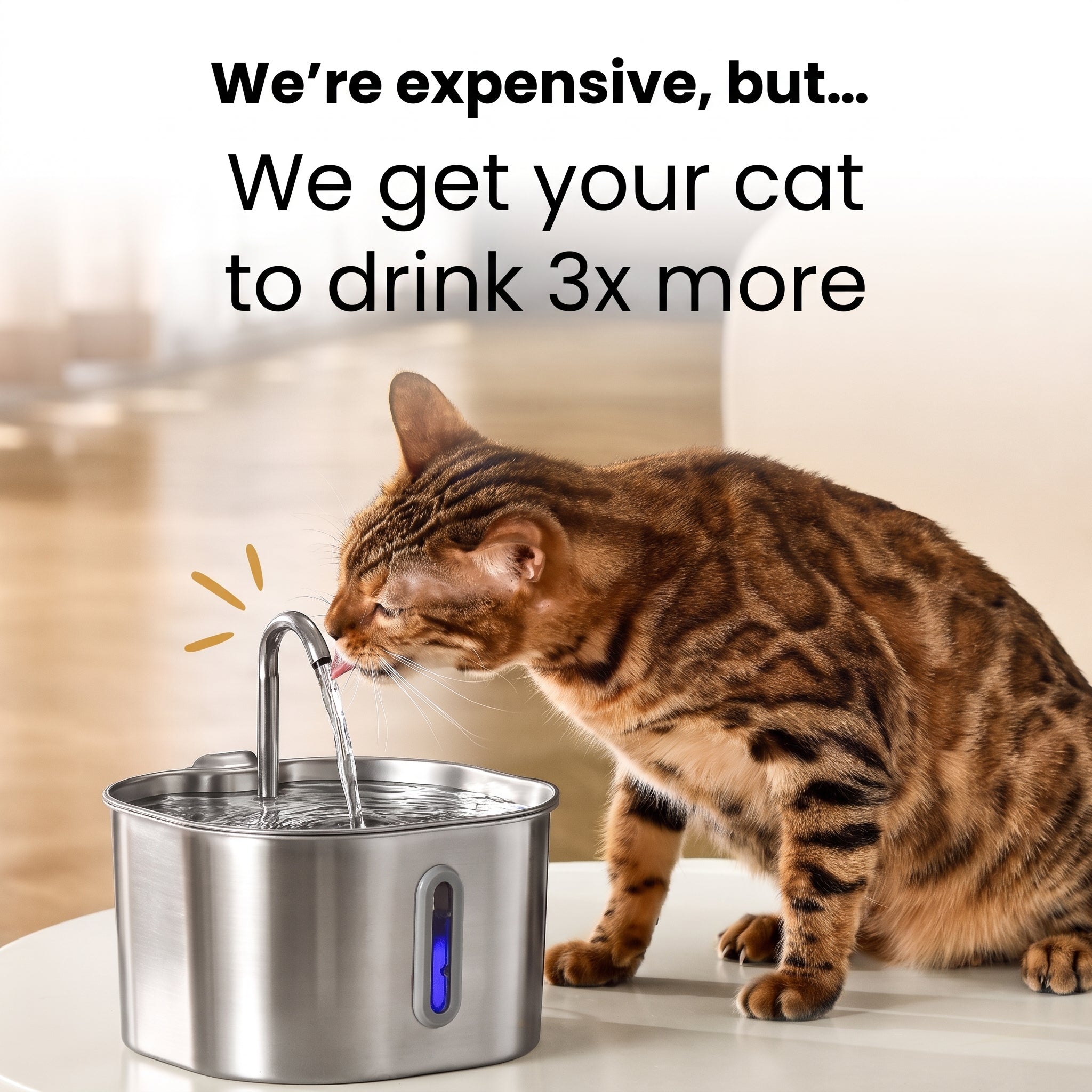 Stainless Steel Drinkly Water Fountain