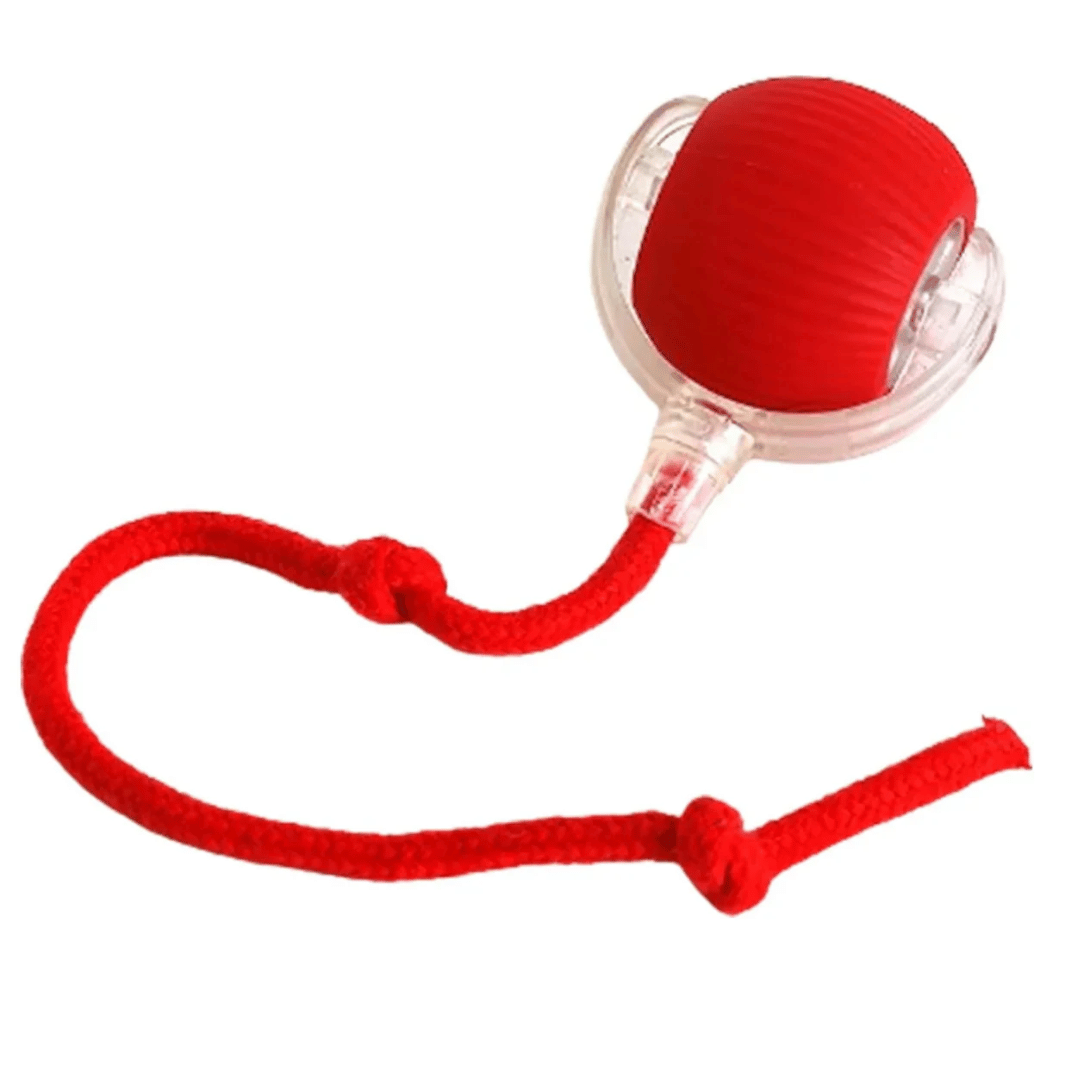Cat Interactive Toy